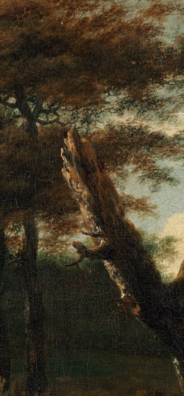 But above it, a stark dead branch reaches out.