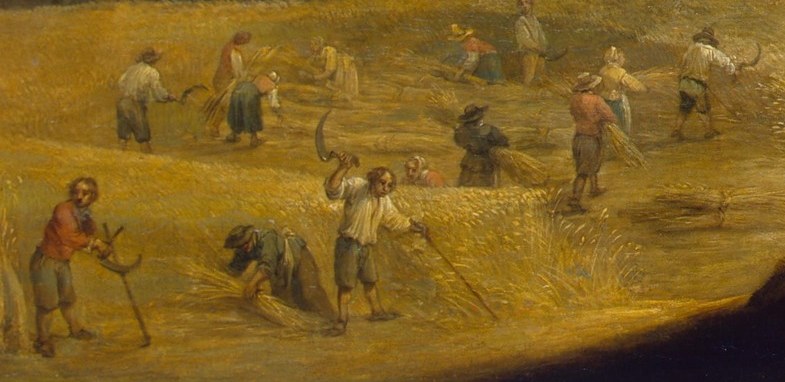 Farmers harvest grain under the summer sun.