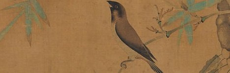 He watched how a branch really bends under a bird's weight.