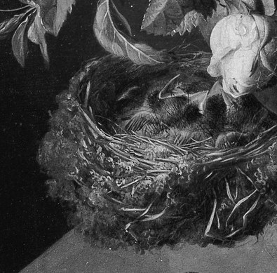 Nestled among the blooms, a tiny bird's nest holds delicate eggs.