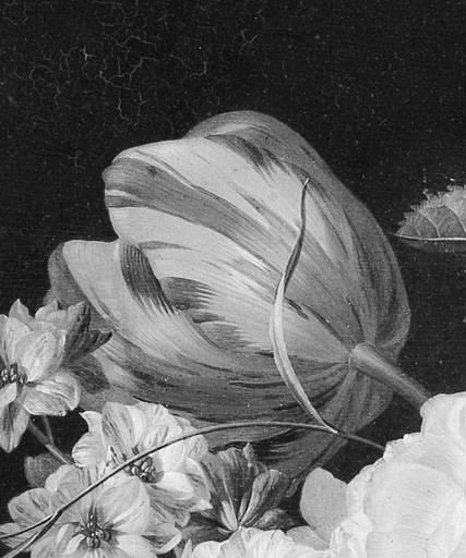 The distinct variegation of the petals suggests rarity and adds a touch of exoticism.