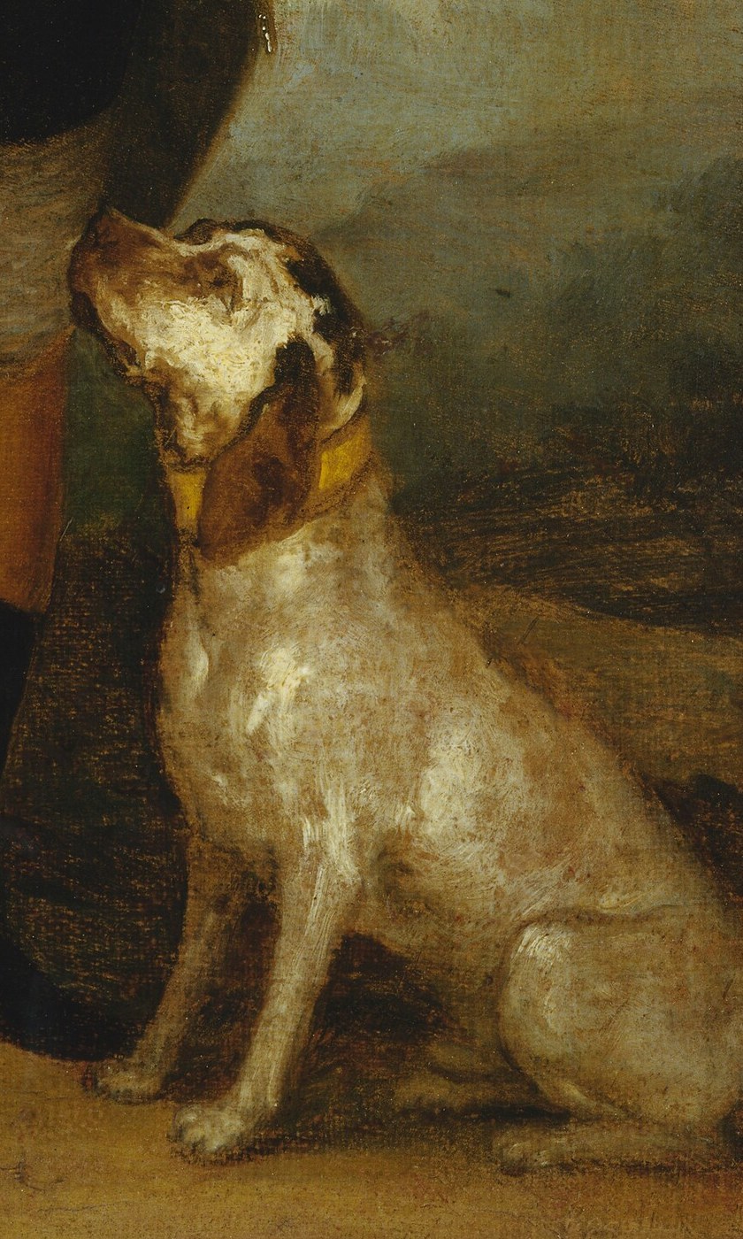 See how the hunting dog looks up, a loyal companion.