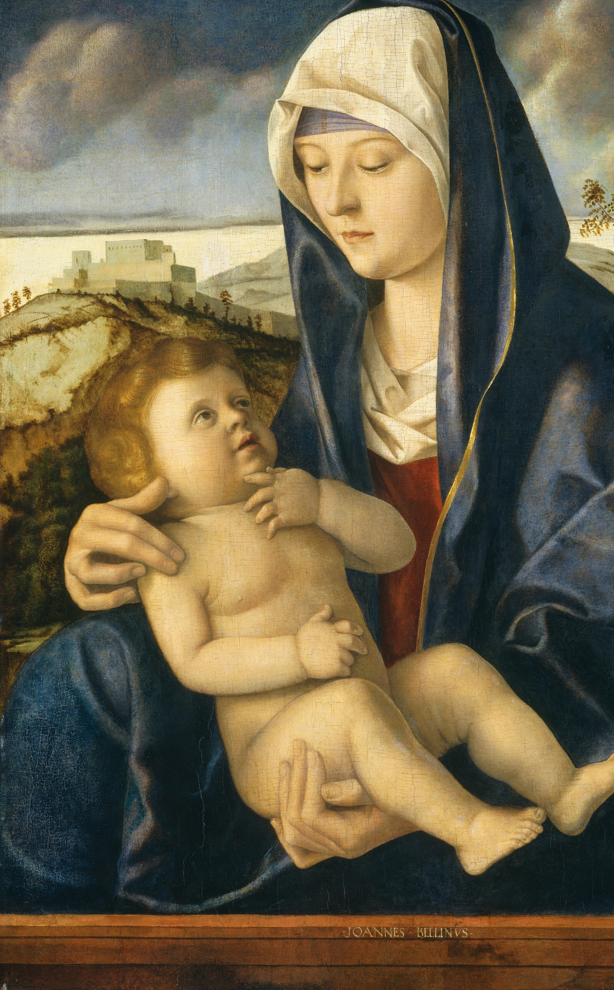 Now look at the deep blue of her mantle.