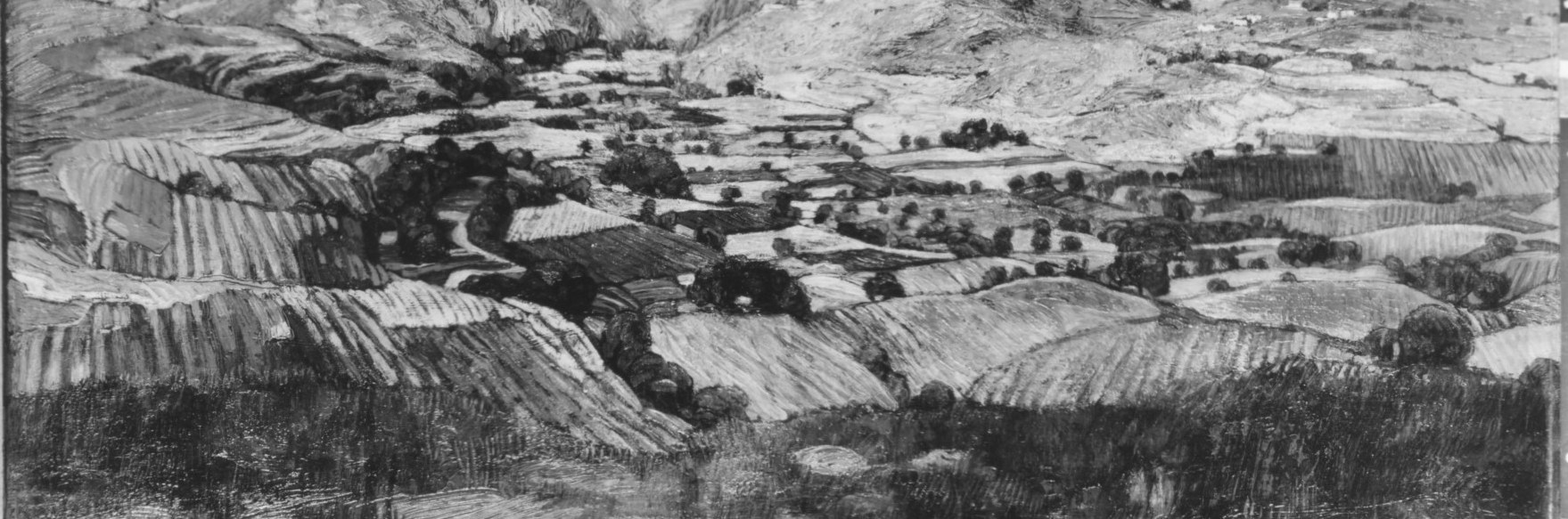 Fields hint at rural life, shaping the land.