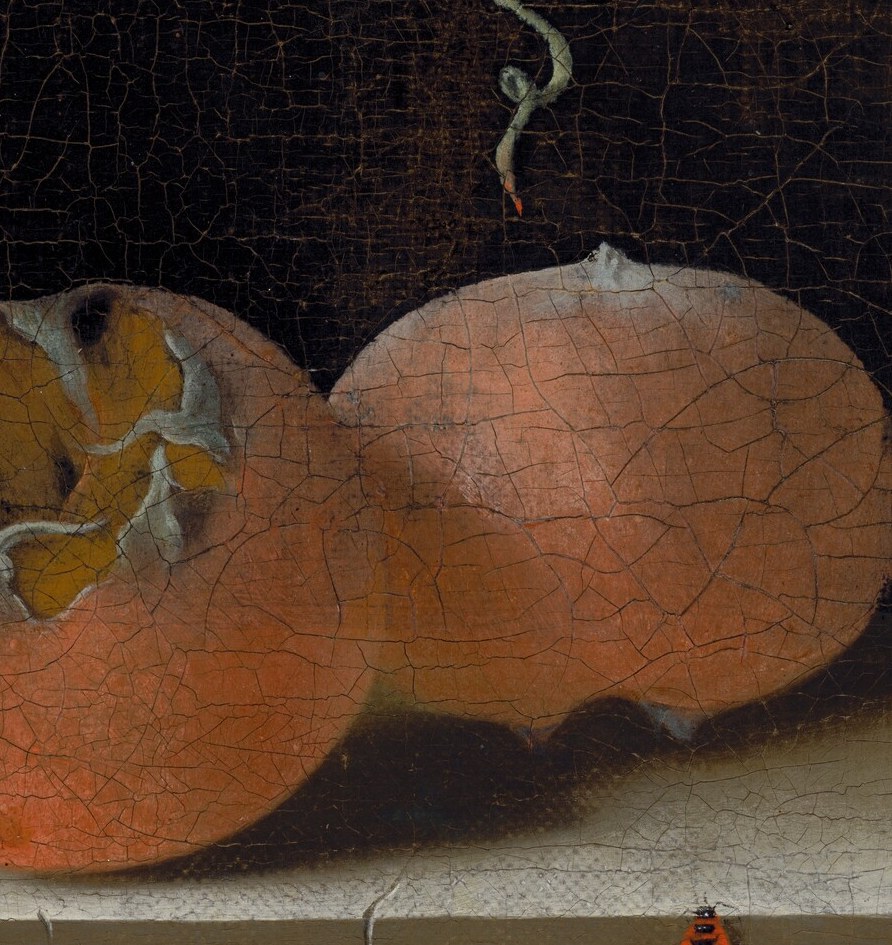 Medlars must decay before they become edible , a symbol of deferred pleasure and inevitable rot that Dutch viewers would have decoded immediately and that modern viewers find unexpectedly strange.