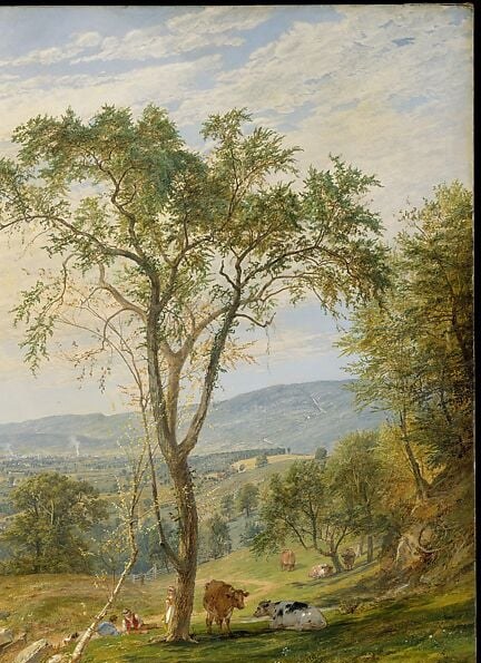 The compositional anchor , its open canopy and sinuous branches frame the entire valley vista, the classic Hudson River School repoussoir device