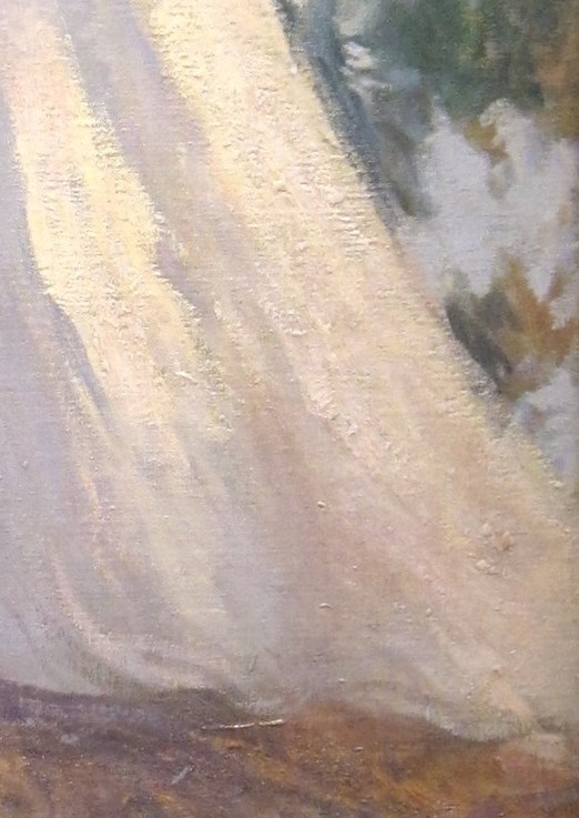 He captured sunlight filtering through trees onto a white dress.