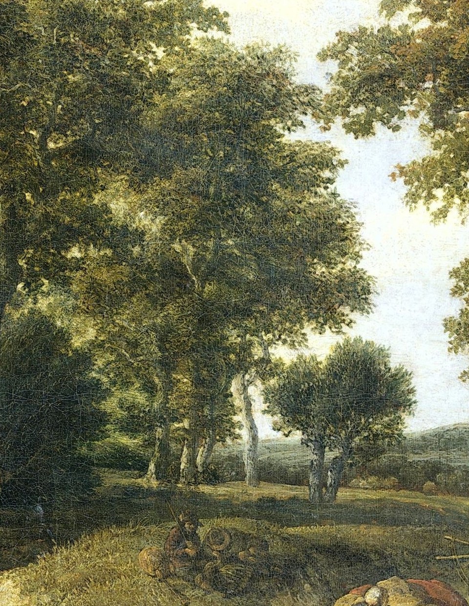 Look closely at the horizon, beyond the trees.