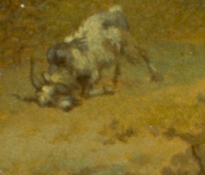 The goat's precarious position highlights its vulnerability and the tension of the hunt.
