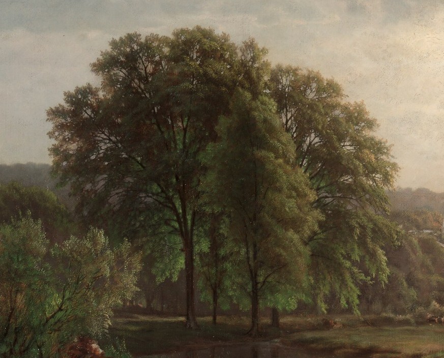 Its imposing presence and detailed leaves create a sense of natural grandeur.