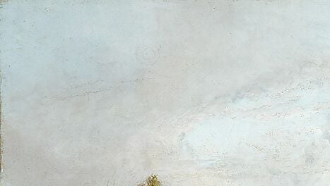 Doughty had no photograph. Every leaf he painted, he placed.