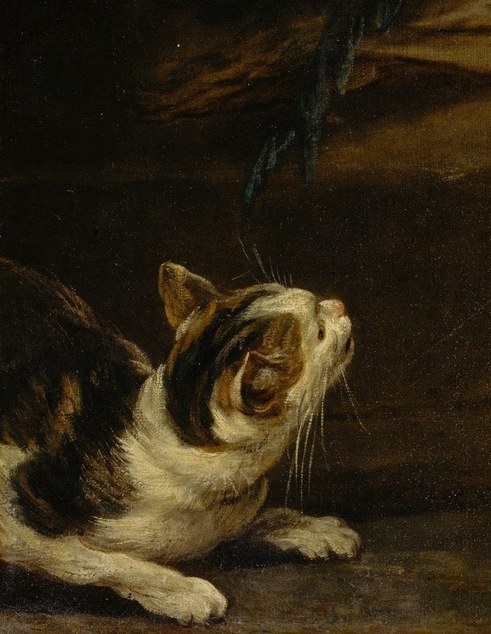 The cat stares intently at the rabbit, introducing a live predator into a scene of death , tension between nature and the kitchen