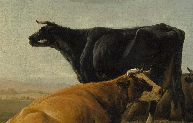 Its solid form and dark color anchor the composition, conveying a sense of groundedness and natural presence.