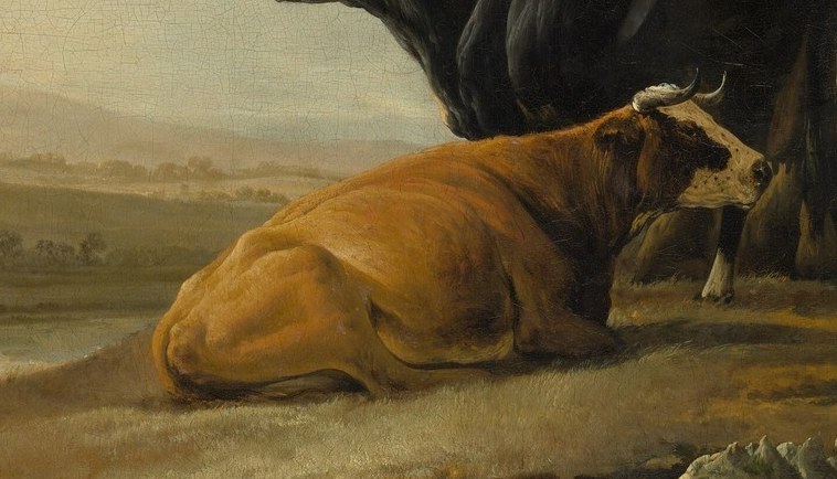 Notice how the light falls on the golden-brown cow.