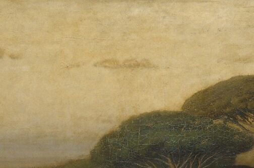 A companion crown whose overlapping edge with the right tree creates a cathedral-arch gap through which pale sky glows, drawing the eye upward