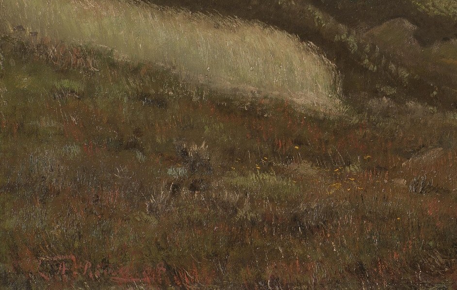 Notice the subtle reddish-purple streaks in the foreground heather.
