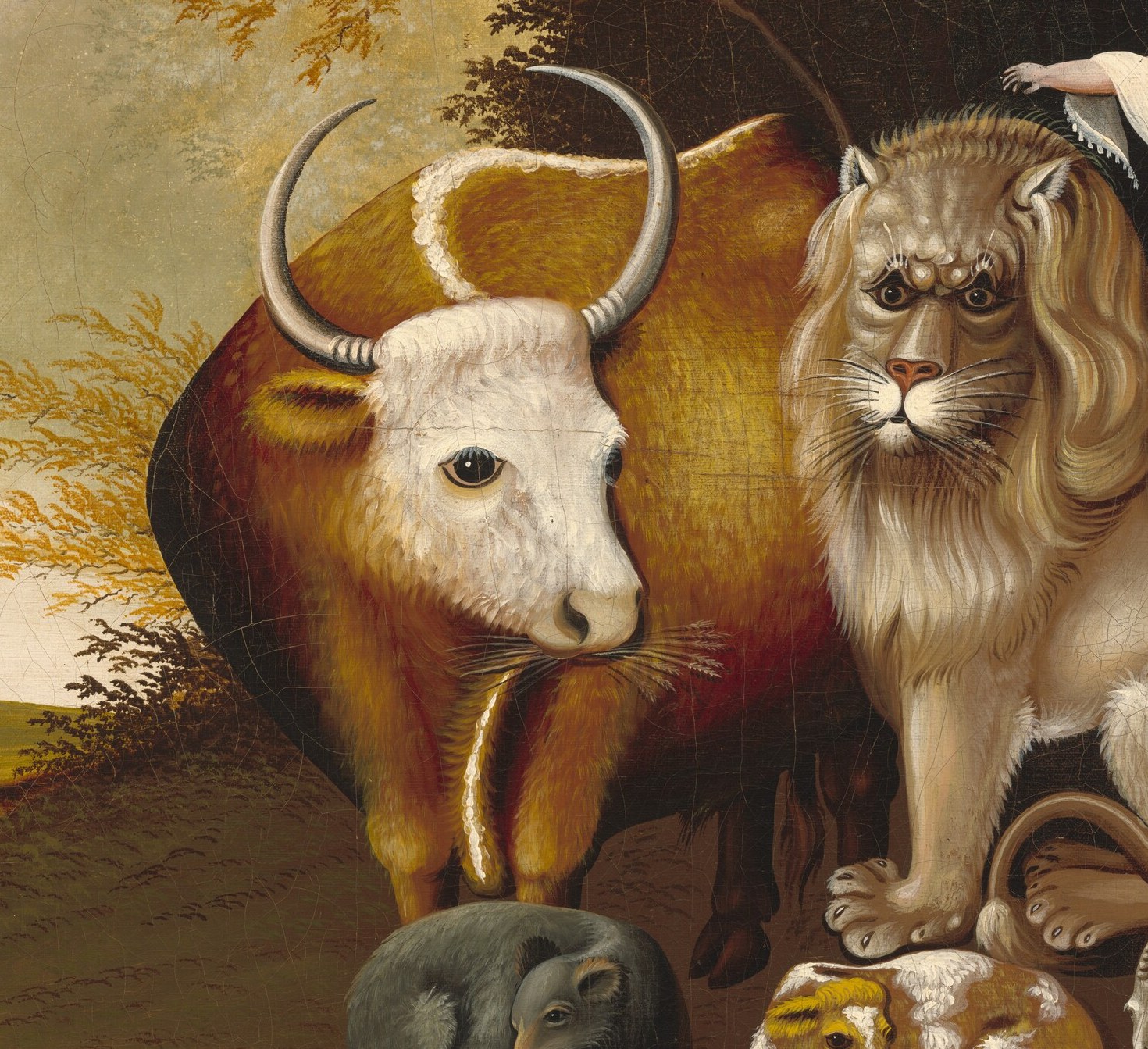 He imagined a world where predators and prey lived in peace.