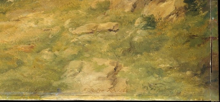 The rough, detailed texture of the rocks provides a sense of tactile reality and the ruggedness of the terrain.
