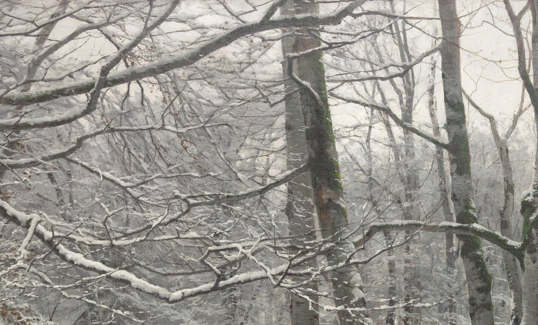 Light filters through the bare trees.