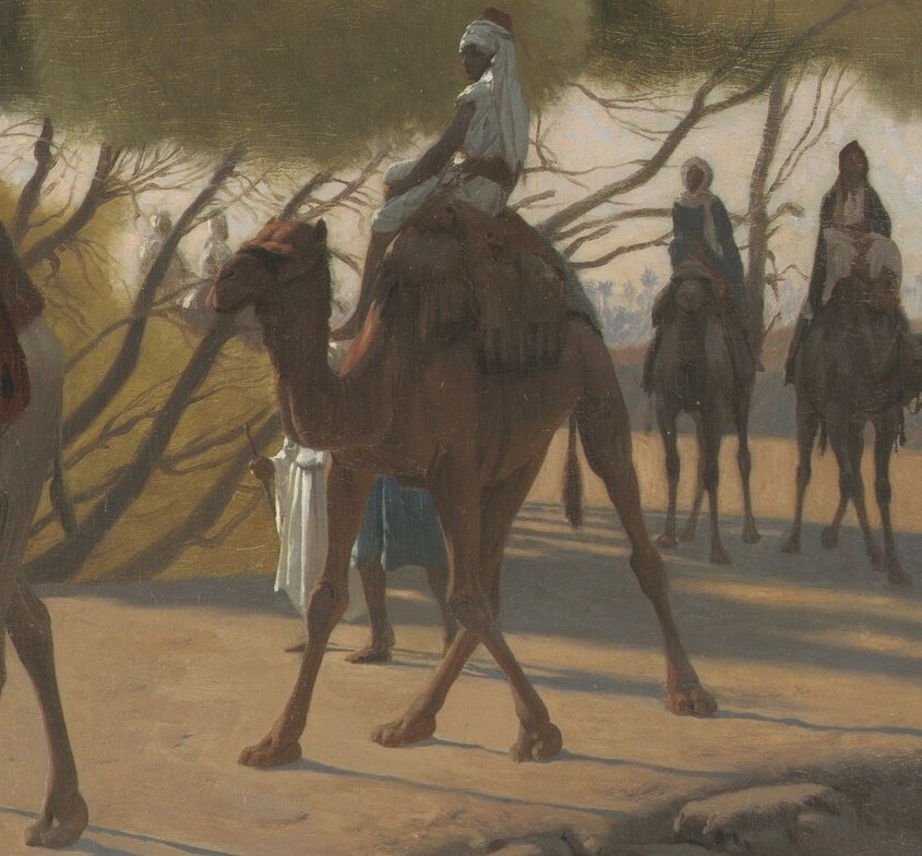 This camel's head is turned slightly, adding a sense of movement and interaction within the caravan.