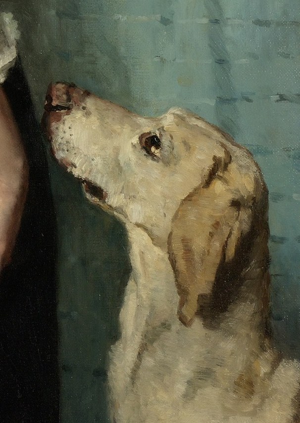 Puck looks up, reflecting the same gentle curiosity.
