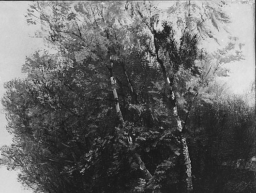Dense, near-black mass that frames the composition and anchors the eye; the contrast with the pale water below defines the painting's tonal range.