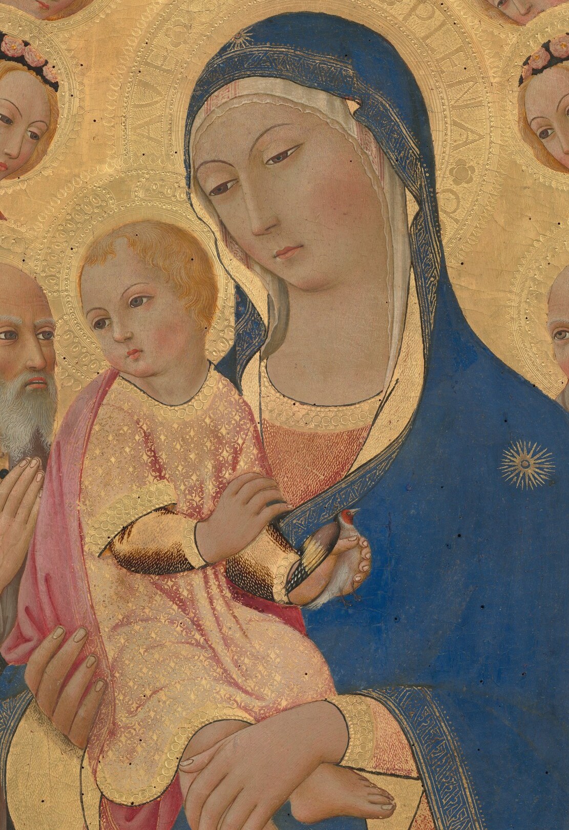 Ultramarine from lapis lazuli was the most expensive pigment of the period , its saturated presence here declares both the Virgin's cosmic queenship and the patron's financial statement