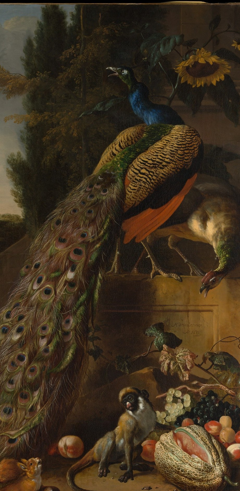 The compositional anchor , the iridescent tail fan dominates nearly half the canvas and demonstrates Hondecoeter's signature feather virtuosity