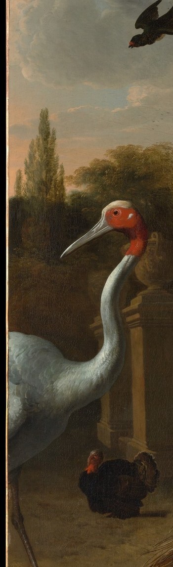 The crane's stillness and upright posture create a vertical counter-rhythm to the peacock's spreading horizontals; it was an exotic import bird in 17th-century Dutch menageries