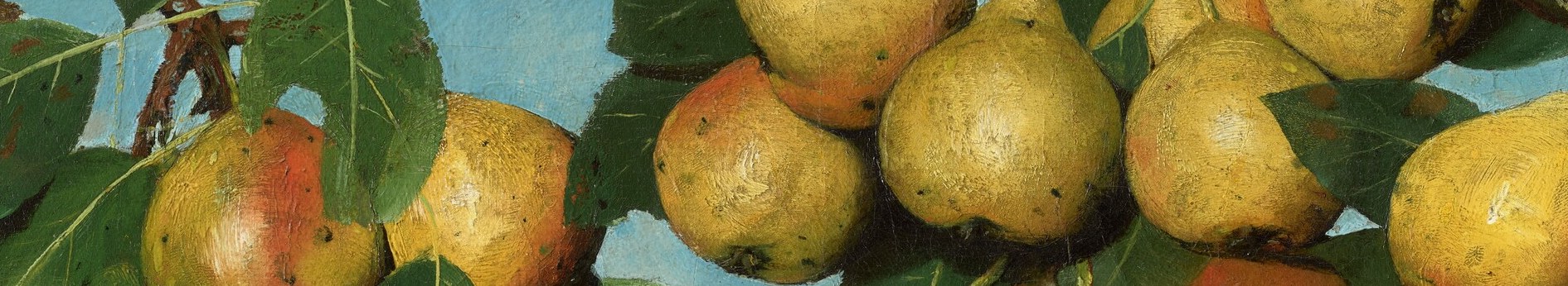 Look at this single branch of pears.