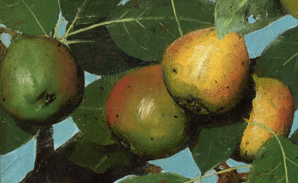 Three pears, each a different shade of ripeness.