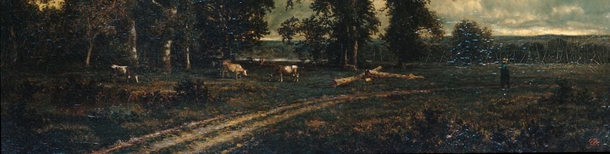 But at first glance, you see only trees and a bright meadow.