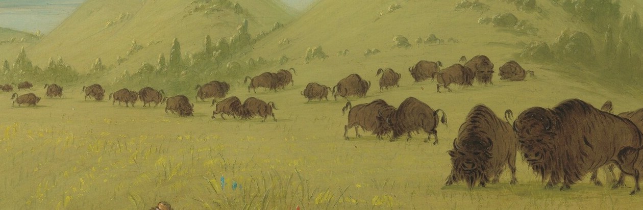 He documented the life of Plains Indians in the 1830s.