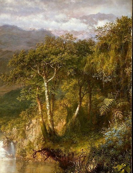 Humboldtian botanical documentation , Church studied specific Andean species; close inspection reveals individually rendered leaf forms