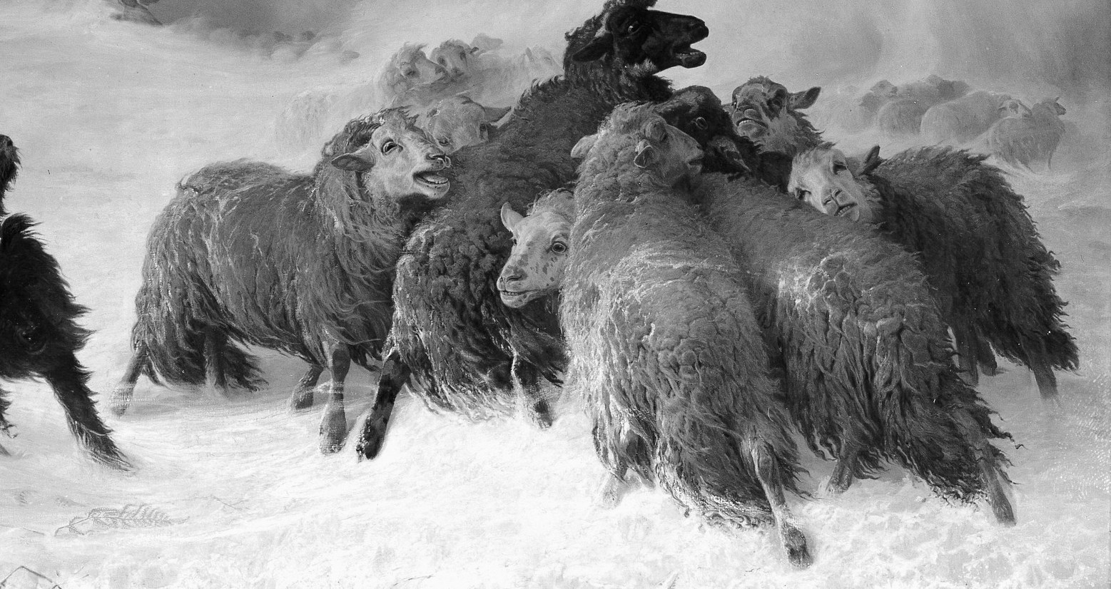 Here, a blizzard rages around a lost flock.