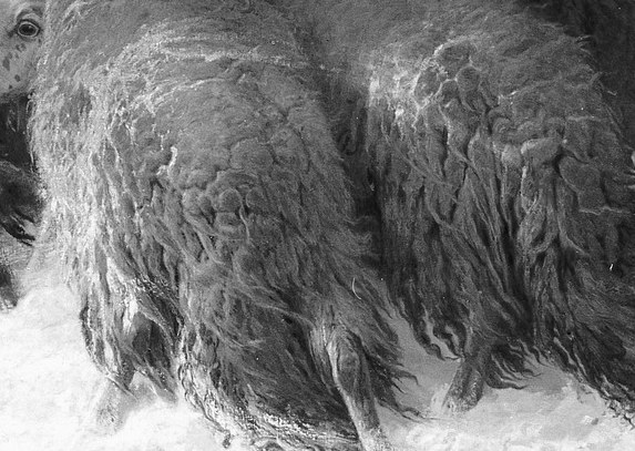Each strand of wool feels real, thick against the cold.