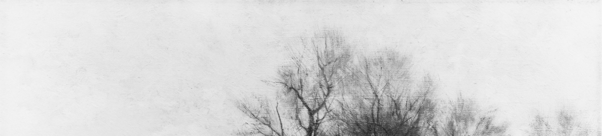 Luminous yet colorless, this wide band of diffuse light creates the cold-season atmosphere that makes the whole scene feel late-year and still; a masterclass in tonal restraint.