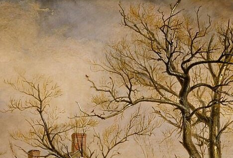 Every bare branch is a draughtsman's feat.