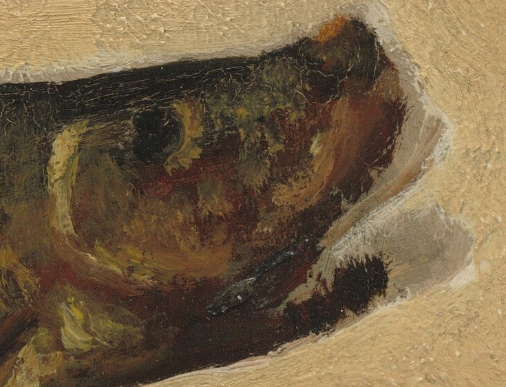 But look at the fish. Its mouth droops, its eye is vacant.