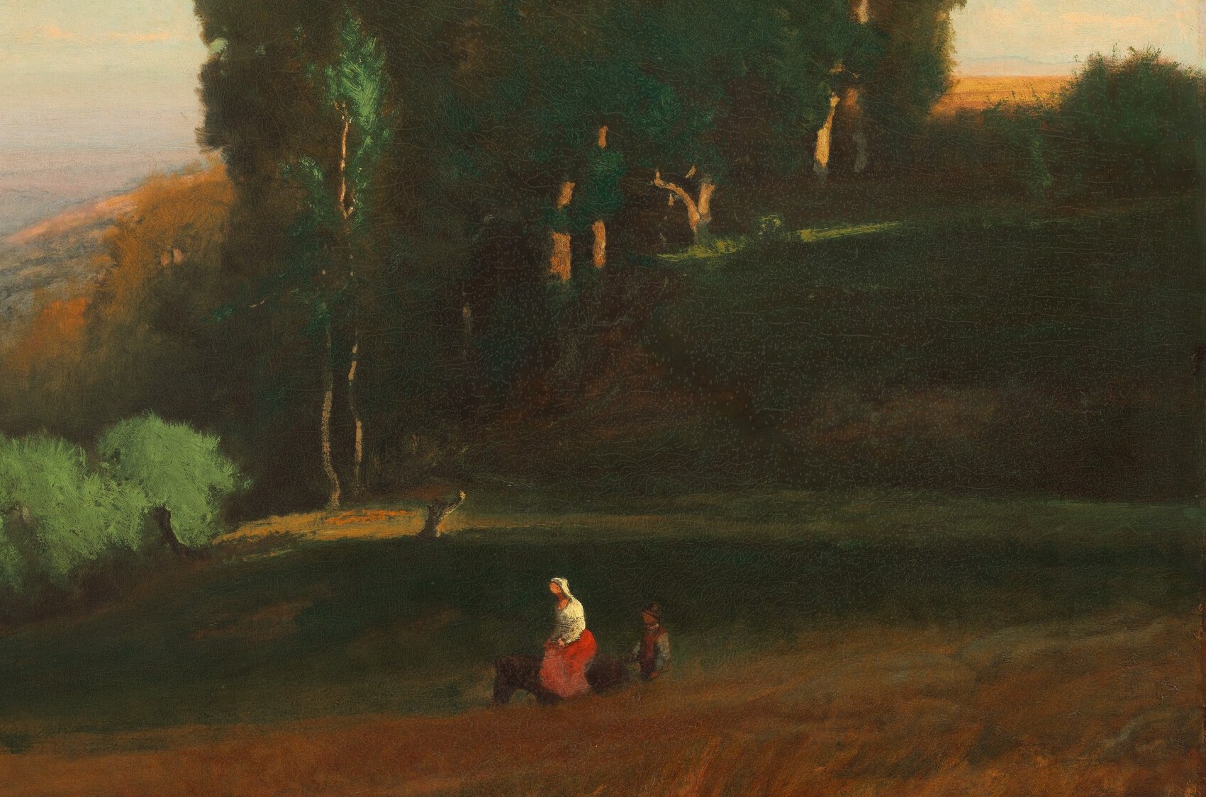 Its dense foliage and dramatic lighting create a strong focal point and sense of depth.