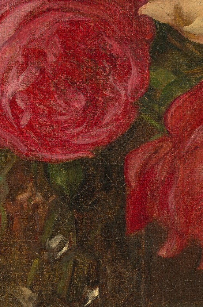 Look at the velvety red rose.