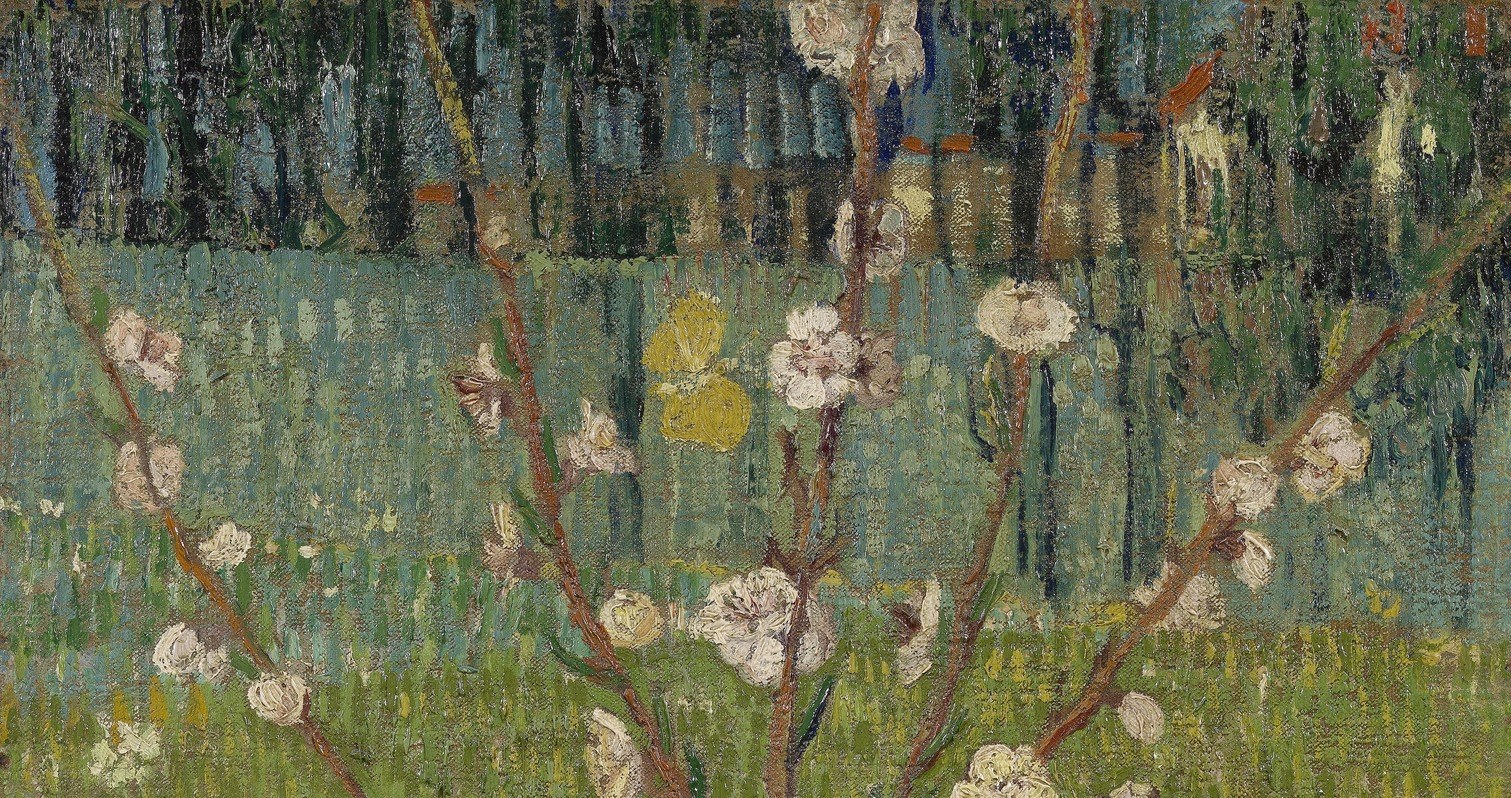 The dense background highlights the blossoms' fragility.