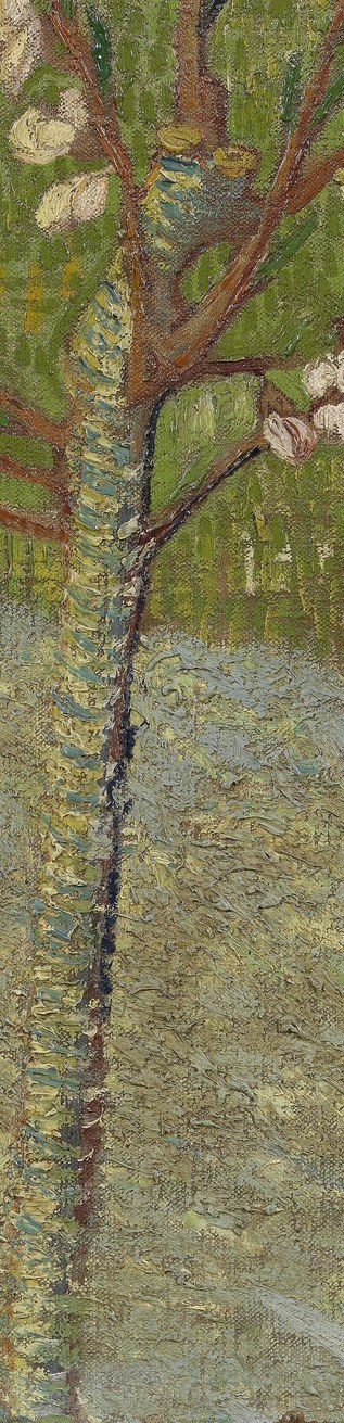 He used thick, expressive brushstrokes on the trunk.