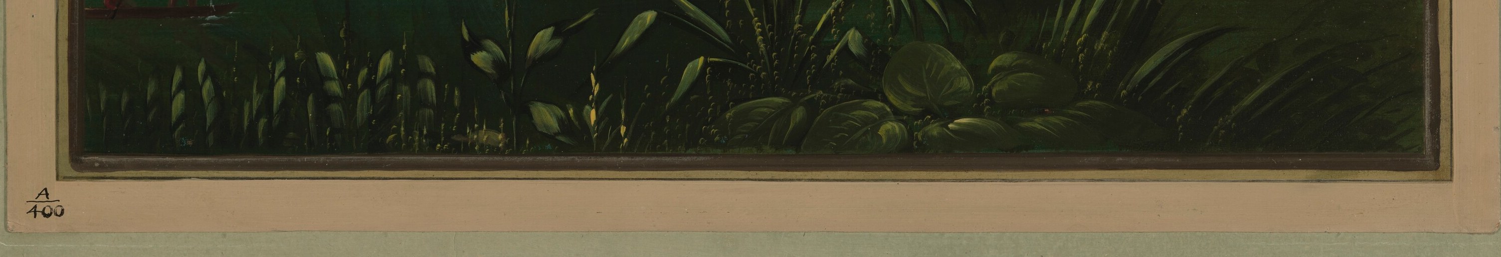 Look closely at the water's edge, near the reeds.