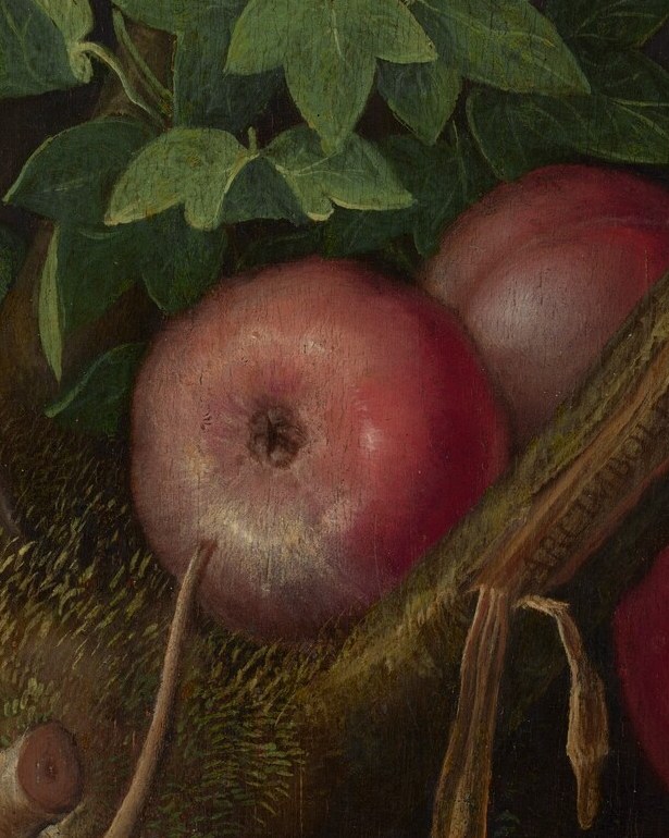 Their vibrant color and placement suggest the peak of summer or early autumn.