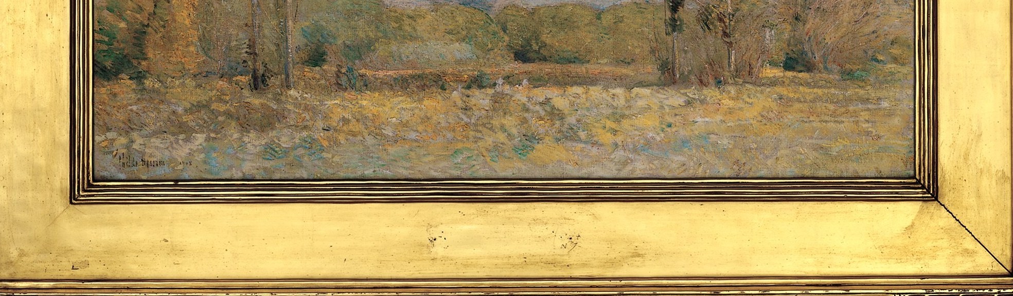 Dry, golden grass fills the foreground.