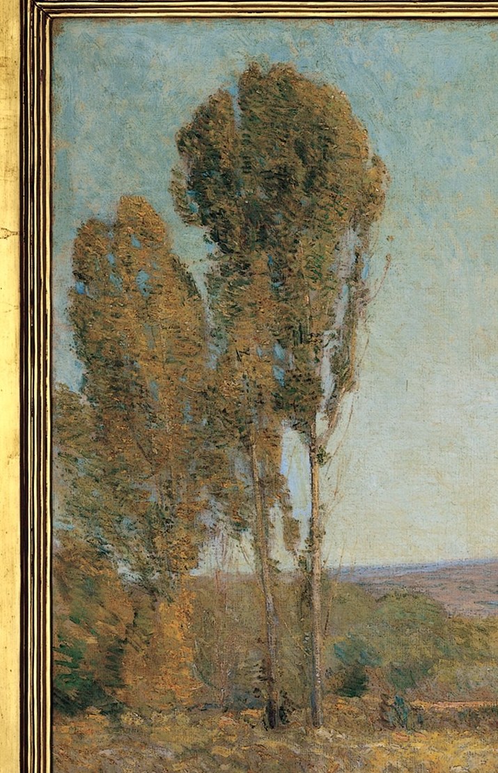 Tall trees reach for the pale blue sky.