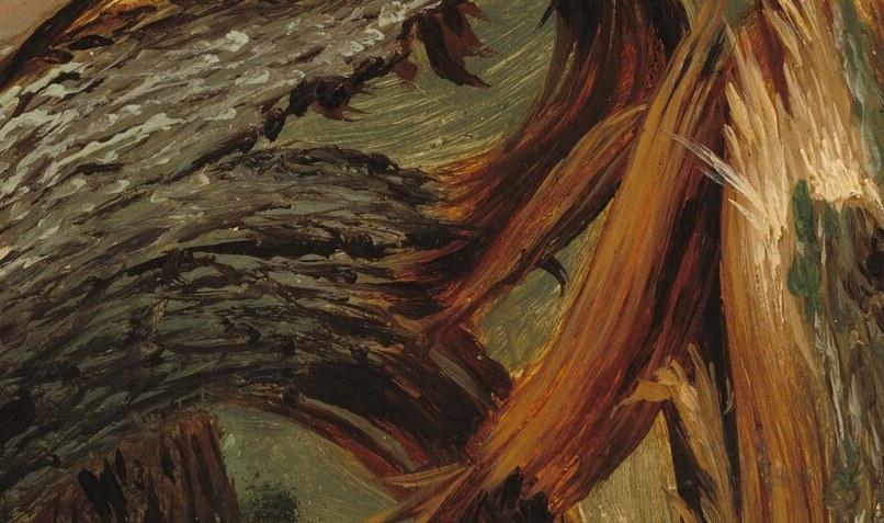 Its trunk is splintered, its branches shattered.