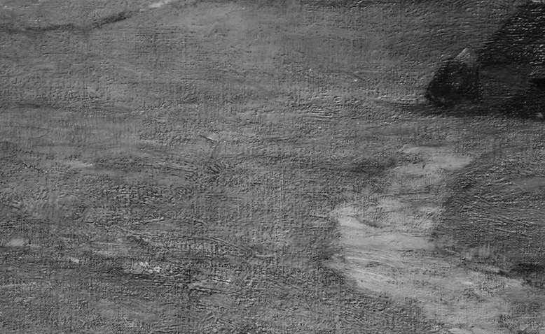 A large shadow cuts across the field, suggesting evening light.