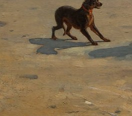 A small black dog trots alone. No one is watching.